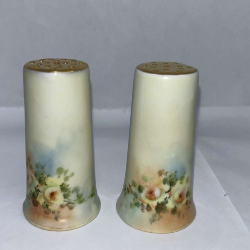 Antique Bavarian Hand Painted Salt and Pepper‎ Shakers Signed